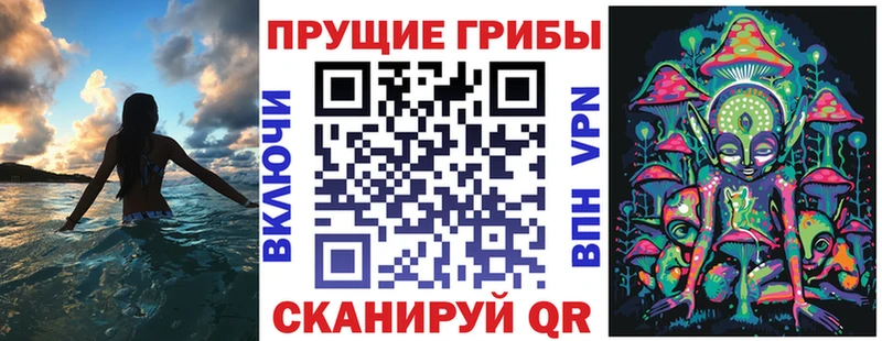 наркошоп  Буй  Псилоцибиновые грибы MAGIC MUSHROOMS 